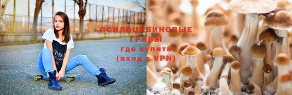 героин Бородино